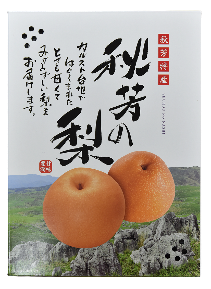 南梨さん専用 期間限定】随時発送無くなり次第終了秋芳特産 王秋梨 5個 永嶺農園